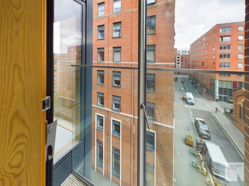 Apt 4.03 :: Ice Plant image 5