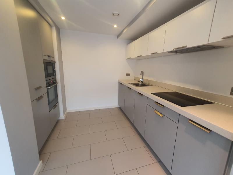 Apt 5.05 :: Ice Plant image 2