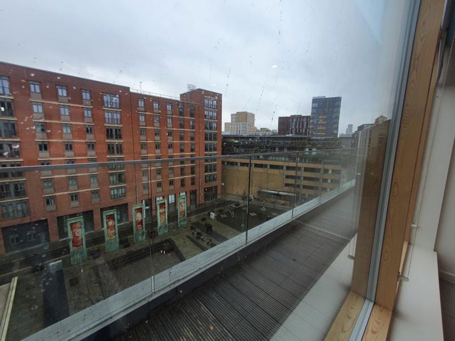 Apt 5.05 :: Ice Plant image 4