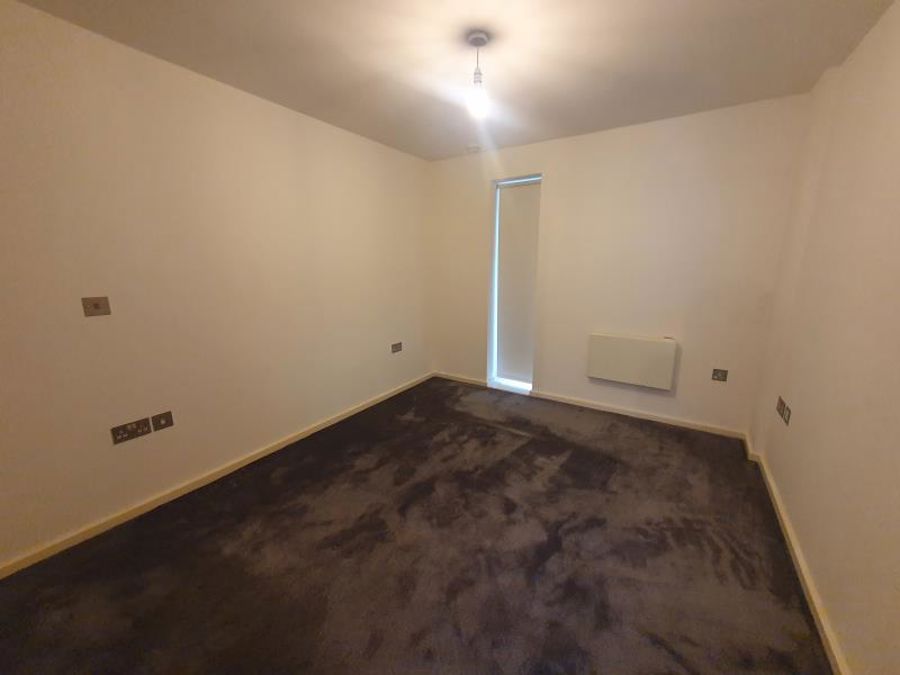 Apt 5.05 :: Ice Plant image 5