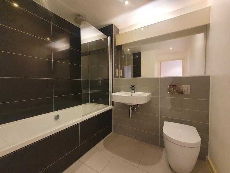 Apt 5.05 :: Ice Plant image 6