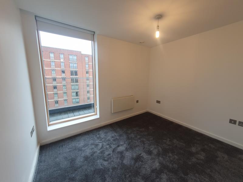 Apt 5.05 :: Ice Plant image 7