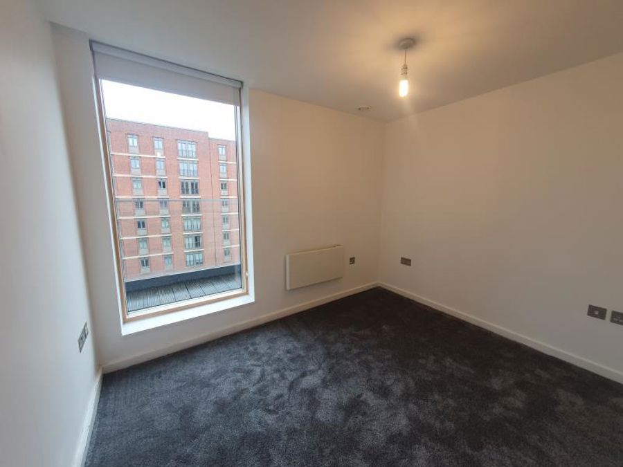 Apt 5.05 :: Ice Plant image 7