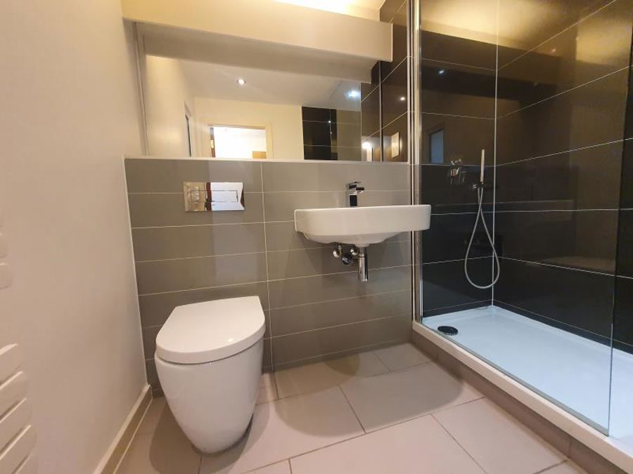 Apt 5.05 :: Ice Plant image 8