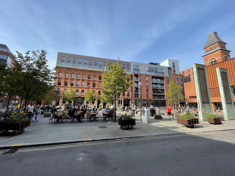 Apt 5.05 :: Ice Plant image 9