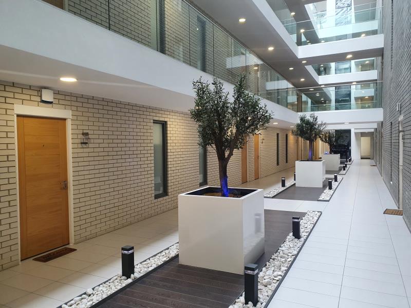 Apt 5.05 :: Ice Plant image 10