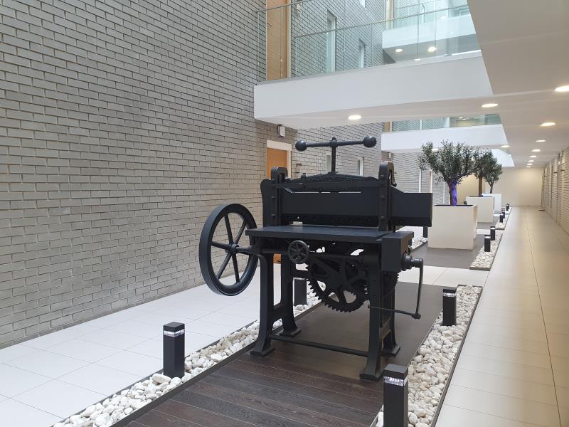 Apt 5.05 :: Ice Plant image 11