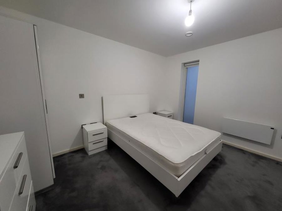 Apt 1.13 :: Ice Plant image 4