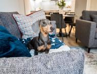 Flat 50 :: The Quarters image 2