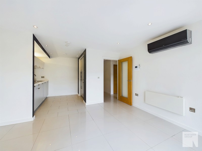 Apt 6.05 :: Ice Plant image 4