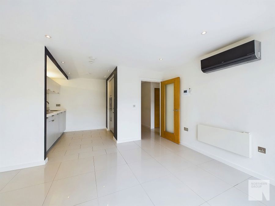 Apt 6.05 :: Ice Plant image 4