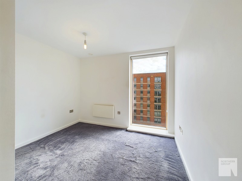 Apt 6.05 :: Ice Plant image 5