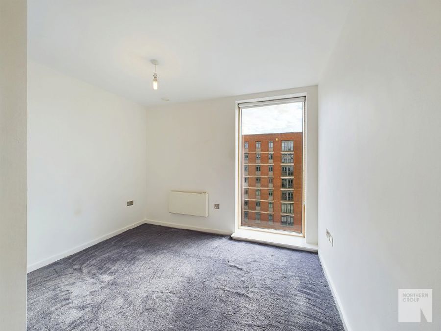 Apt 6.05 :: Ice Plant image 5