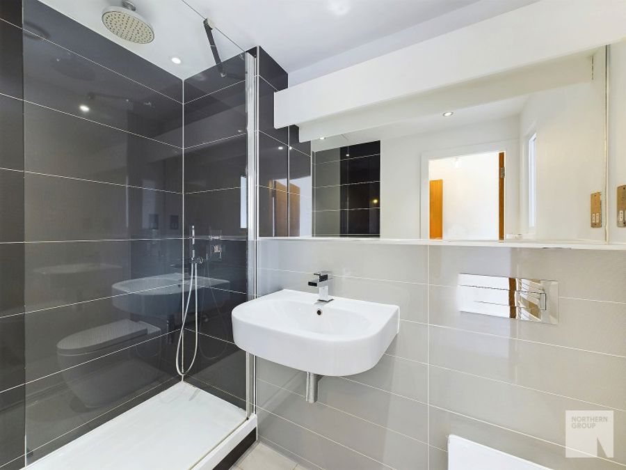 Apt 6.05 :: Ice Plant image 6