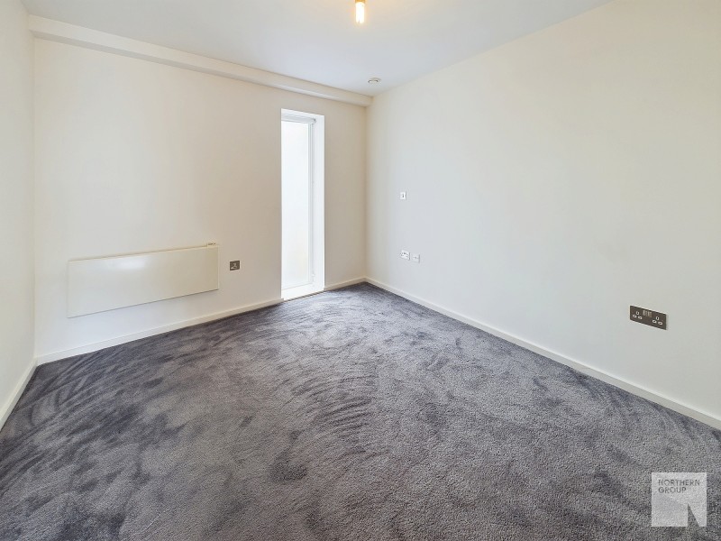 Apt 6.05 :: Ice Plant image 7