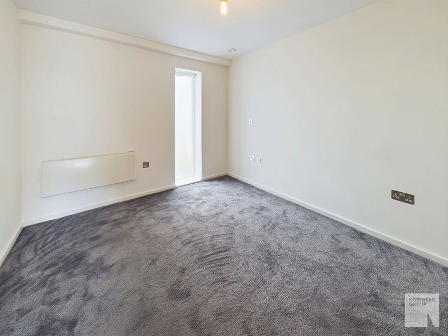 Apt 6.05 :: Ice Plant image 7