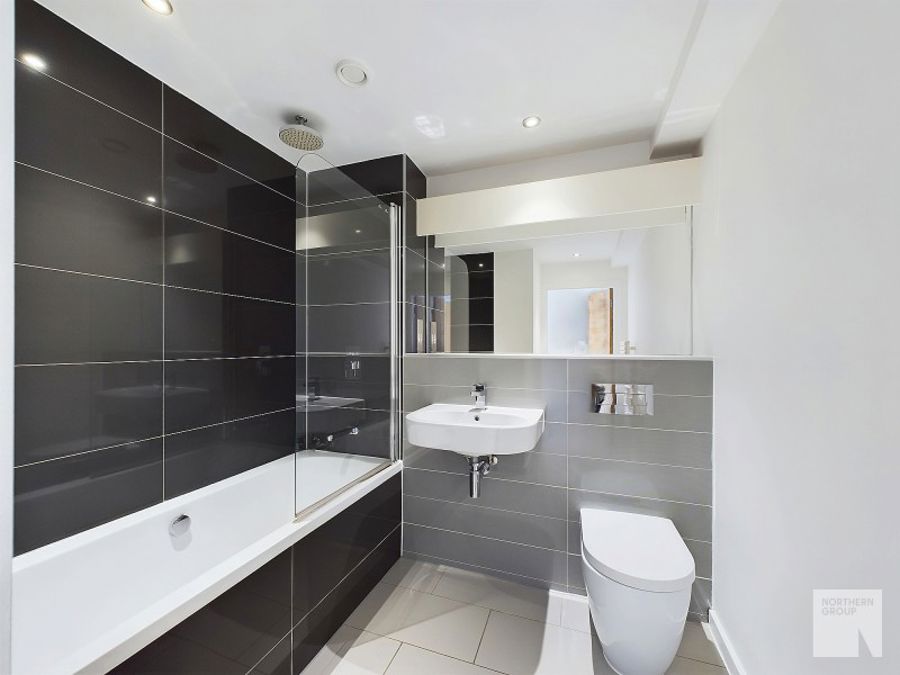 Apt 6.05 :: Ice Plant image 8