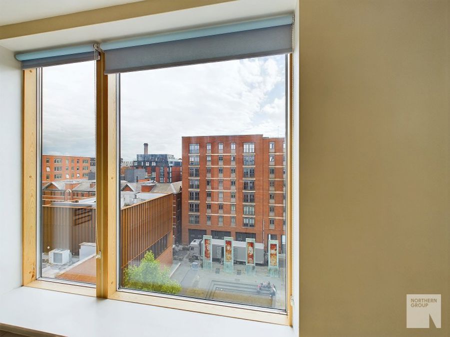 Apt 6.05 :: Ice Plant image 10