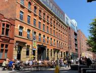 Apartment 4.03 :: Ice Plant image 2