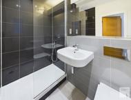 Apartment 4.03 :: Ice Plant image 6