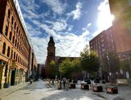 Apartment 4.03 :: Ice Plant image 10