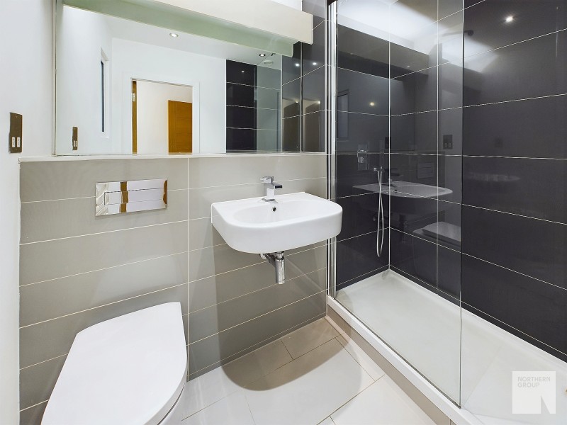 Apt 1.05 :: Ice Plant image 7