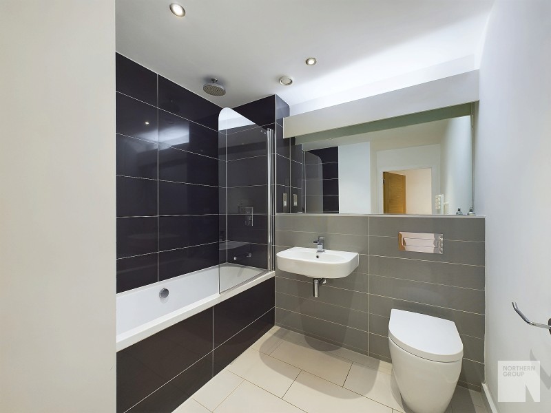 Apt 1.05 :: Ice Plant image 9