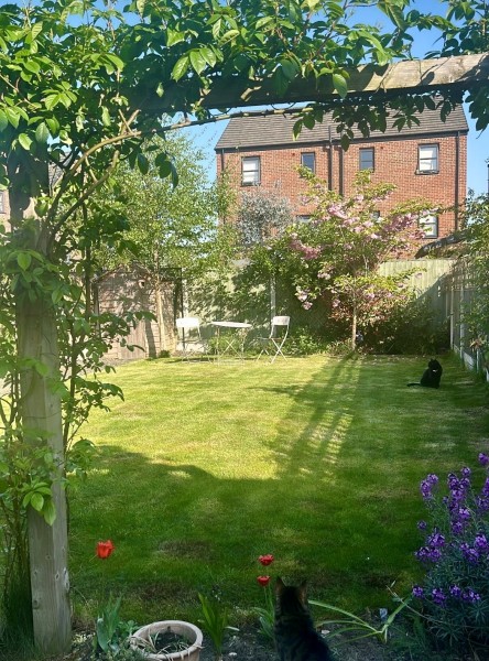 Holland Street :: Platting  image 3