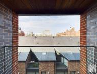 Apt 1.16 :: Ice Plant image 2