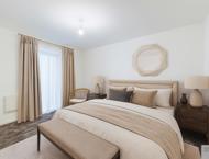 Apt 1.16 :: Ice Plant image 3