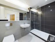 Apt 1.16 :: Ice Plant image 6