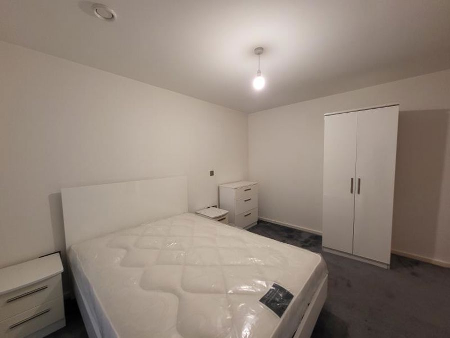 Apt 3.14 :: Ice Plant image 6