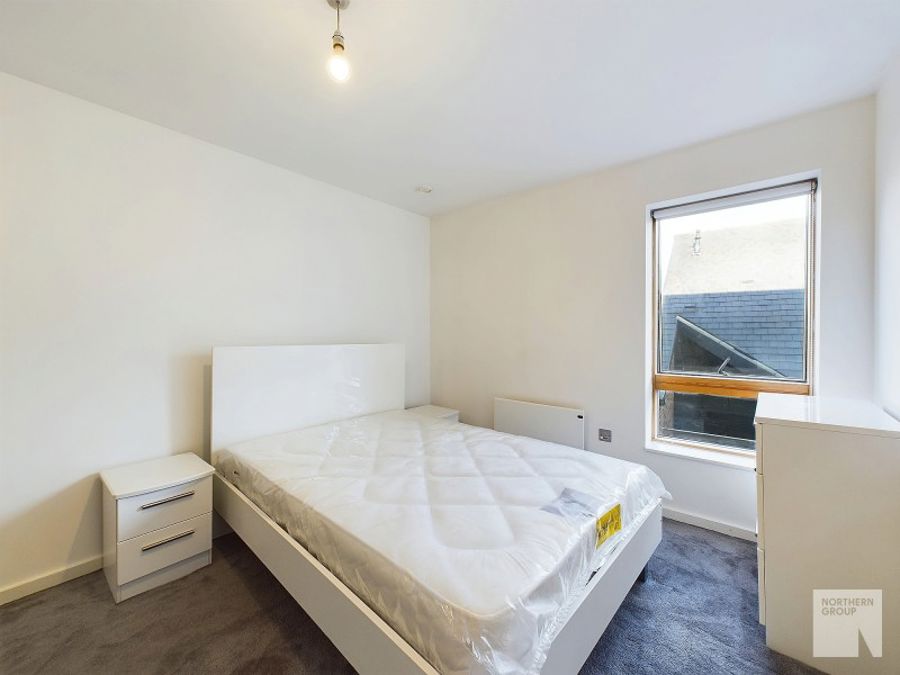 Apt 2.01 :: Ice Plant image 4