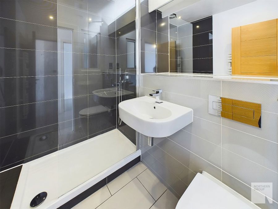 Apt 2.01 :: Ice Plant image 7