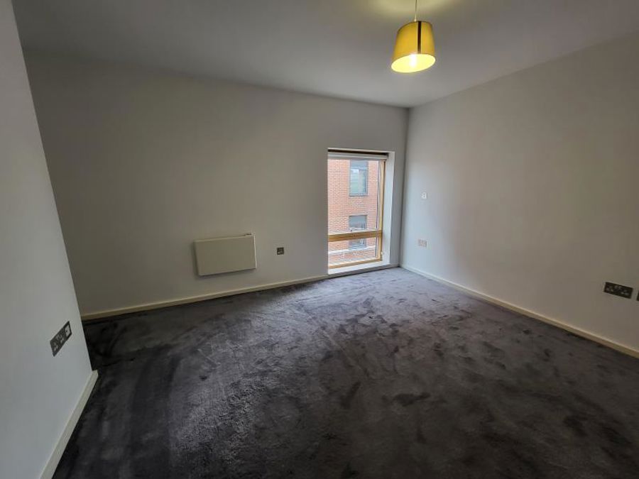Apt 4.02 :: Ice Plant image 6