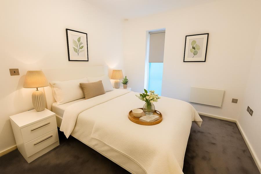 Apt 4.05 :: Ice Plant image 3