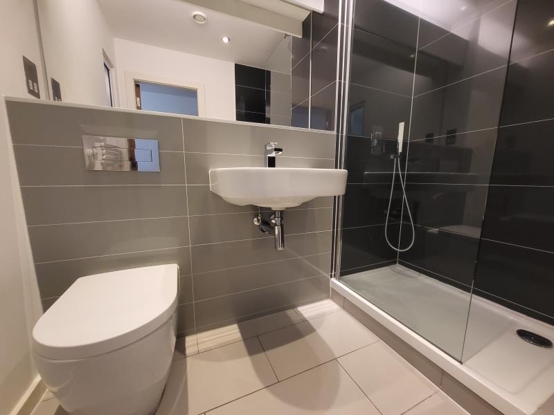 Apt 4.05 :: Ice Plant image 6