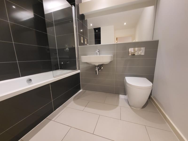 Apt 4.05 :: Ice Plant image 8