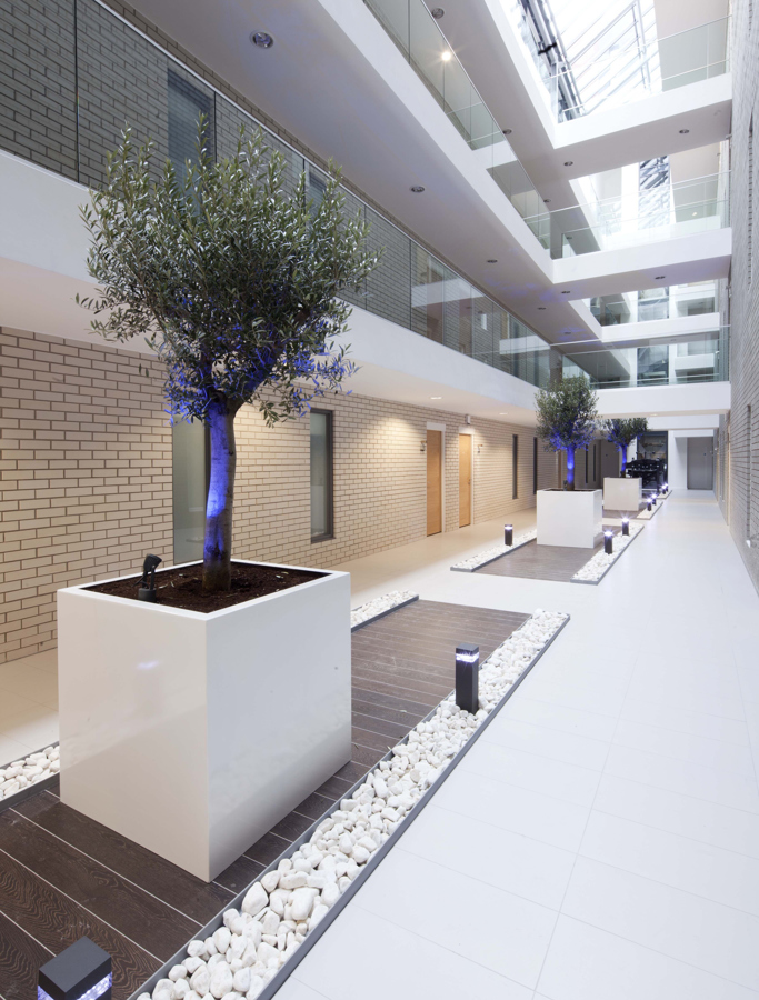 ice plant lobby
