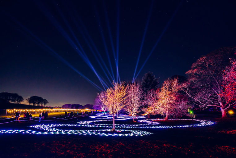Heaton Park Light Trail Manchester